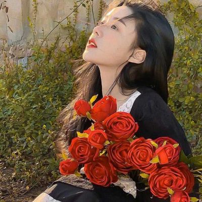 口袋暴龙兽游戏