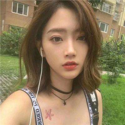 乐牛手游驯龙物语下载