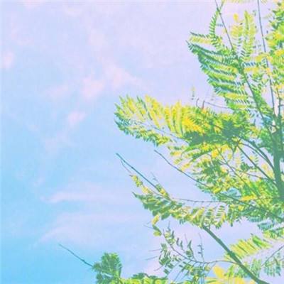 凌霄诀手游内购破解版下载